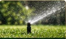 Irrigation