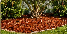 Mulch and gravel